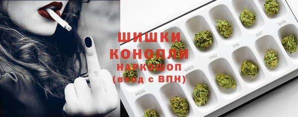 стафф Данков