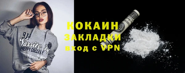 дживик Гусь-Хрустальный