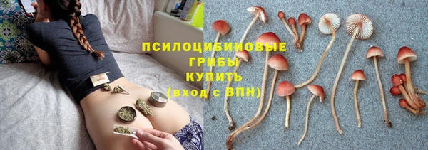 COCAINE Гусиноозёрск
