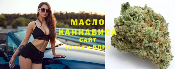дживик Гусь-Хрустальный